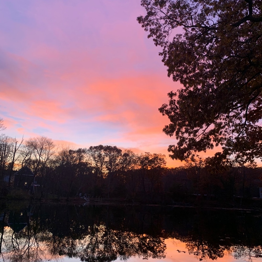 Meet your Posher, Lainey